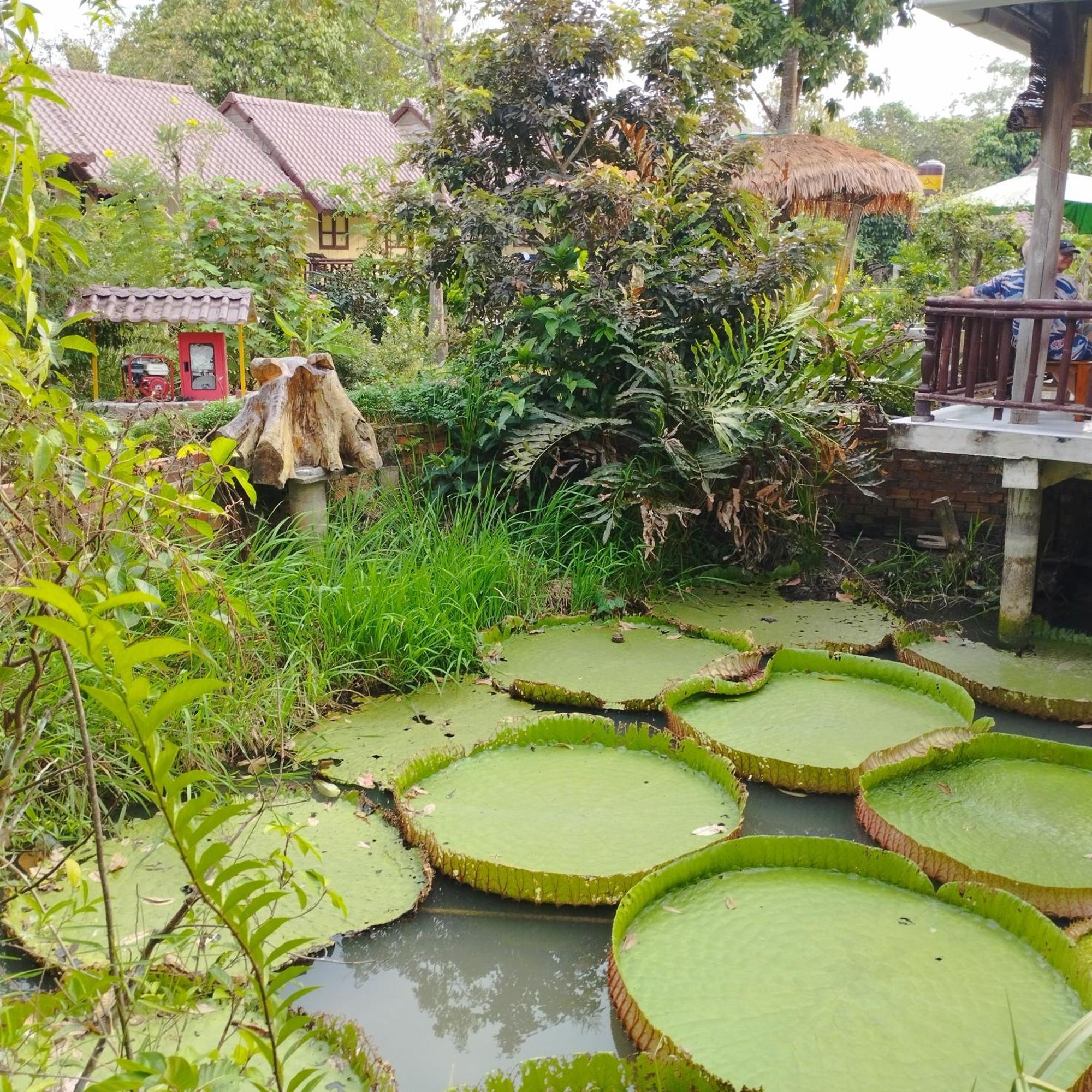 Brown House Resort Cần Thơ Exterior foto